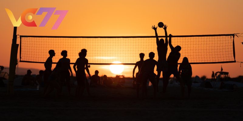 Big won and useful experience from VC77 experts