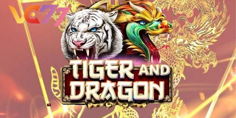 Introducing the highlights of Dragon Tiger VC77