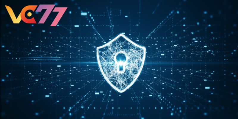 Privacy policy VC77 specifies and clearly in categories