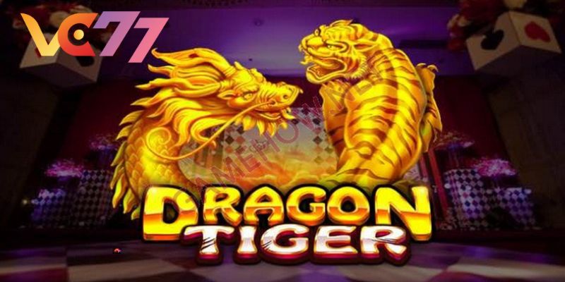 The rules of dragon dragon play the most outstanding details today