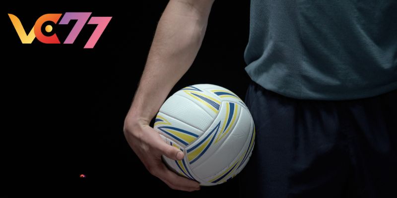 Volleyball has a variety of attractive investment options